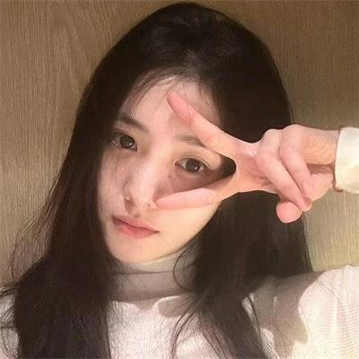 森林随处可见